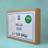 Stanley x Hello Love - Pack of 6 - Mystery 6